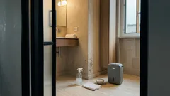 Muffa nera in casa: come eliminarla con aceto bianco e fermare l’umidità